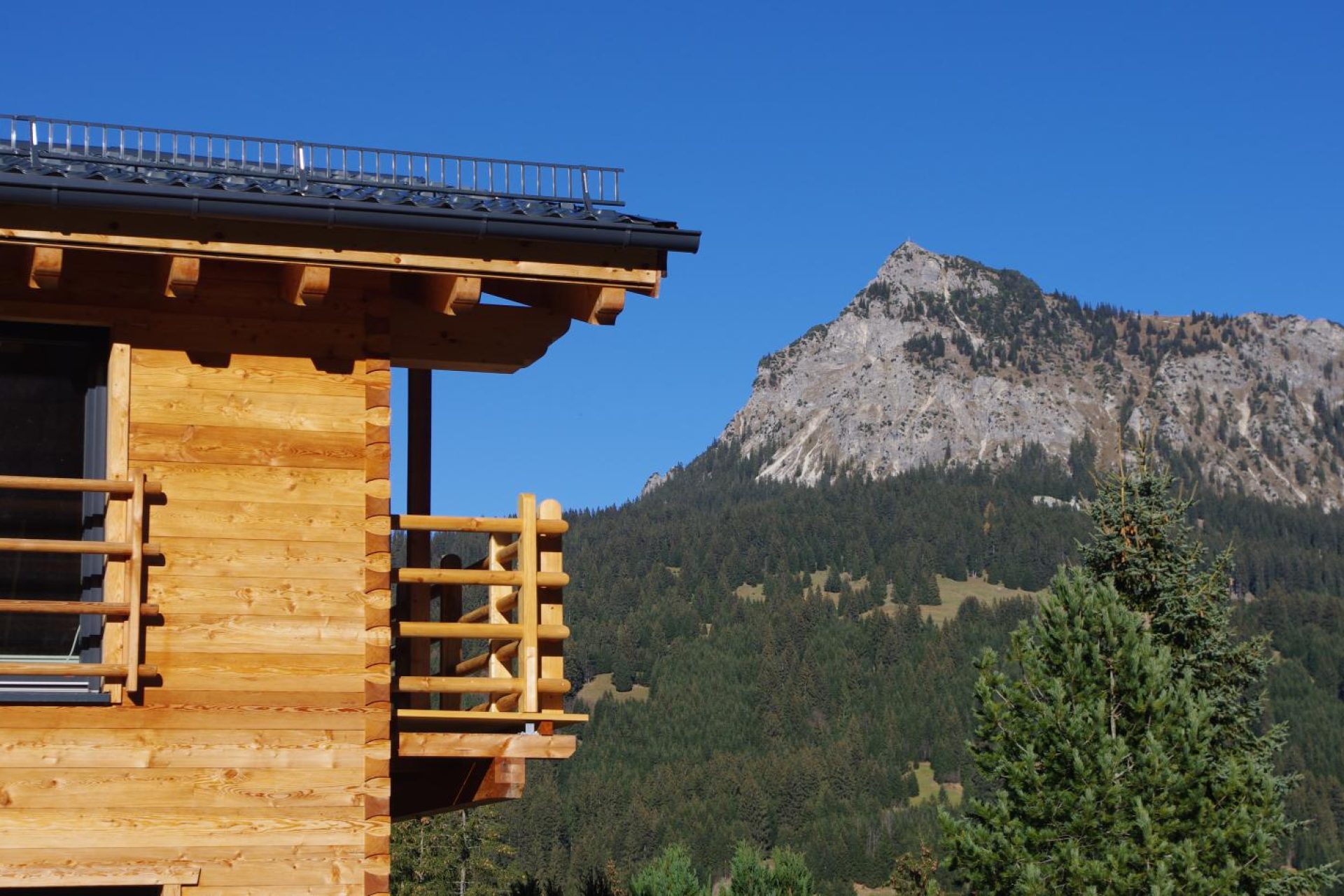 Bild vom Landhaus Wiesle mit Einstein im Hintergrund
