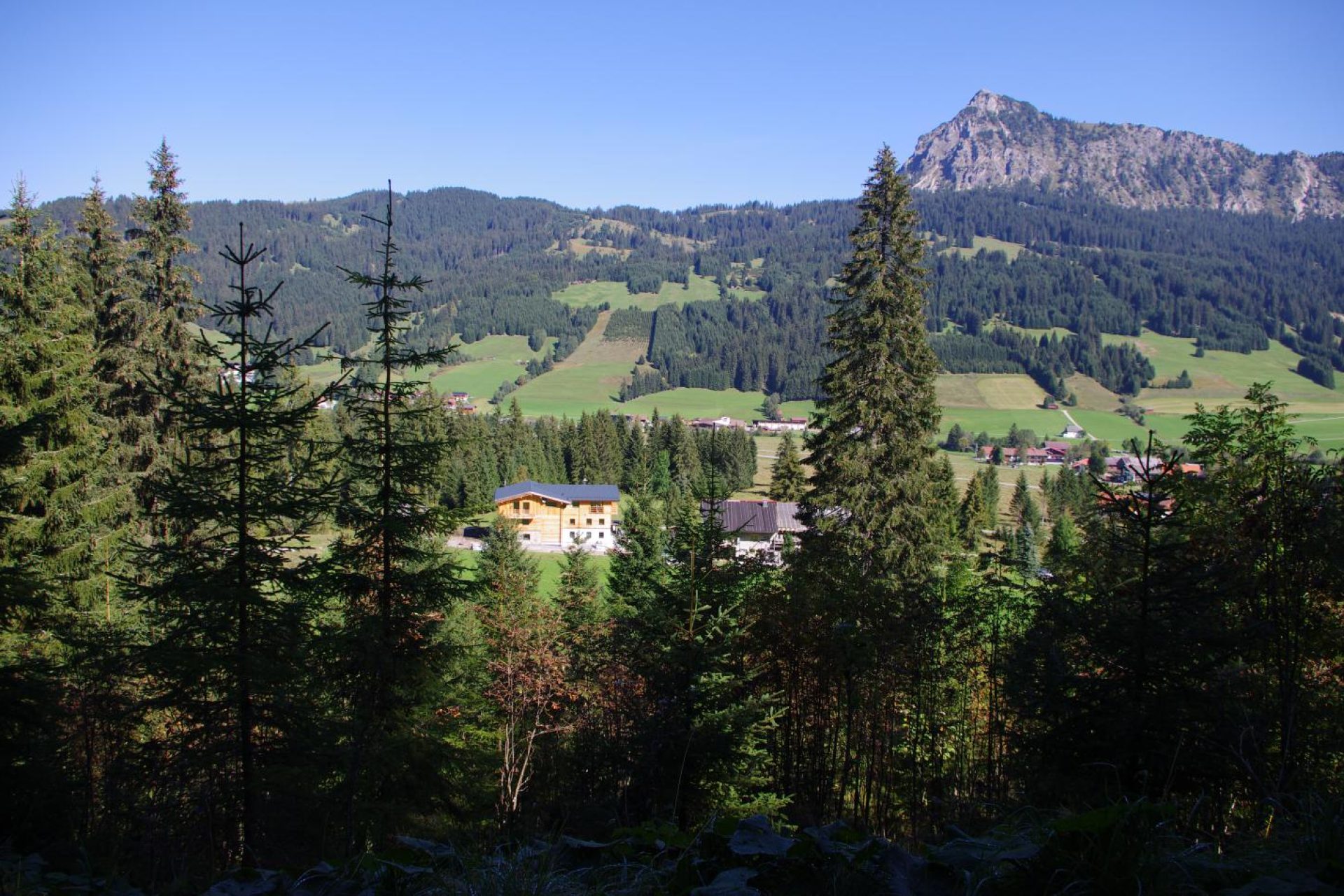 Blick vom Älpele Wanderweg runter zum Landhaus Wiesle
